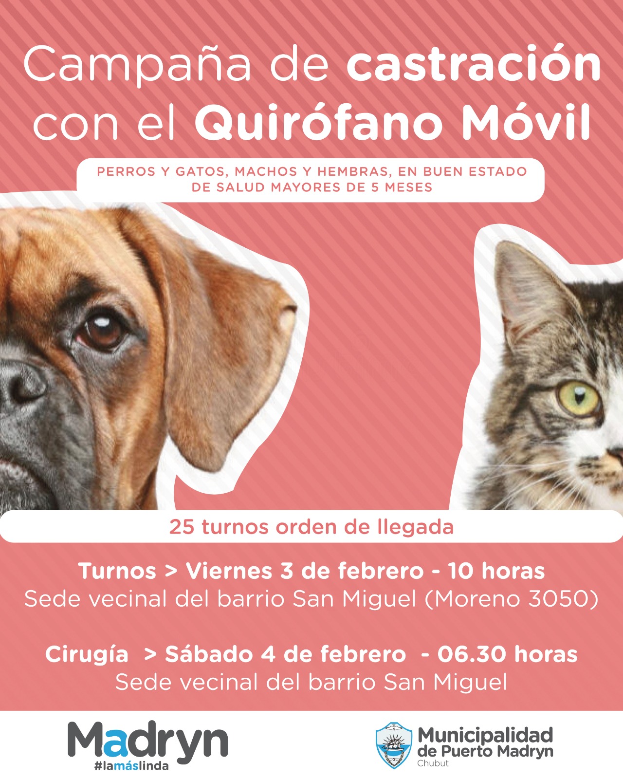 CAMPAÑA DE CASTRACIÓN GRATUITA PARA PERROS Y GATOS