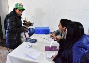 CONTINÚAN LAS CAMPAÑAS GRATUITAS PARA MASCOTAS