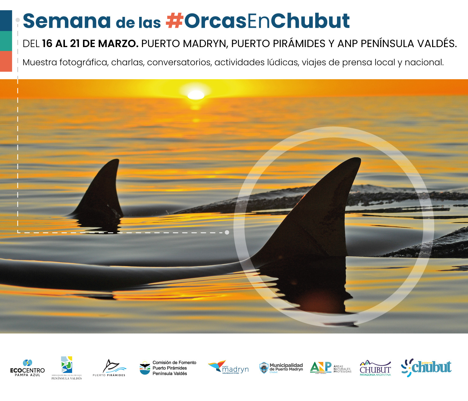 PUERTO MADRYN SE SUMA CON DISTINTAS ACTIVIDADES AL INICIO DE LA TEMPORADA DE ORCAS 2023