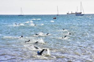 SE CORRE ESTE DOMINGO LA PRUEBA DE NATACIÓN “VUELTA AL MUELLE”