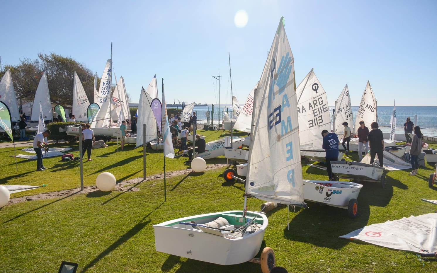 CUENTA REGRESIVA PARA LA XVI EDICIÓN DE LA COPA DE LAS BALLENAS