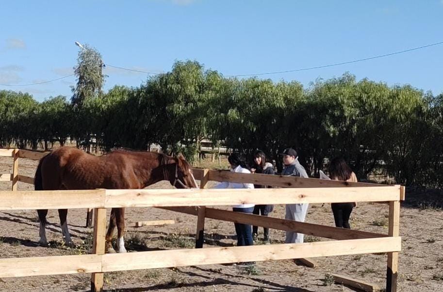 LA ACTIVIDAD CON CABALLOS PARA JÓVENES CON TEA YA SE DESARROLLA EN MADRYN