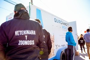 CAMPAÑA DE CASTRACIÓN GRATUITA PARA PERROS Y GATOS