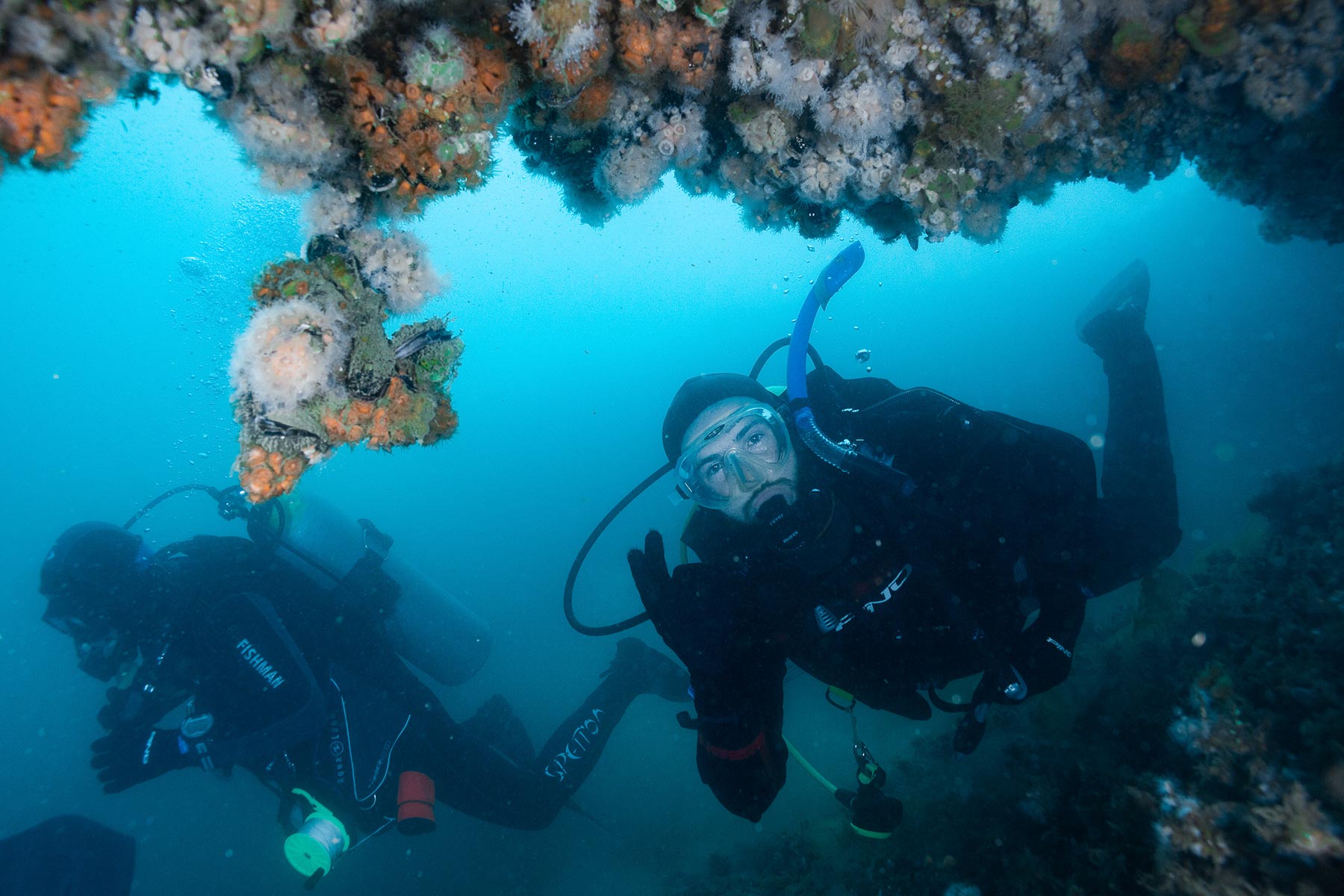 LA SEMANA DEL BUCEO SERÁ EN EL ECOCENTRO PAMPA AZUL Y TENDRÁ VARIAS ACTIVIDADES