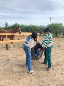 HABRÁ UNA CLÍNICA DE EQUINOTERAPIA EN EL FESTIVAL DE DEPORTE ACCESIBLE