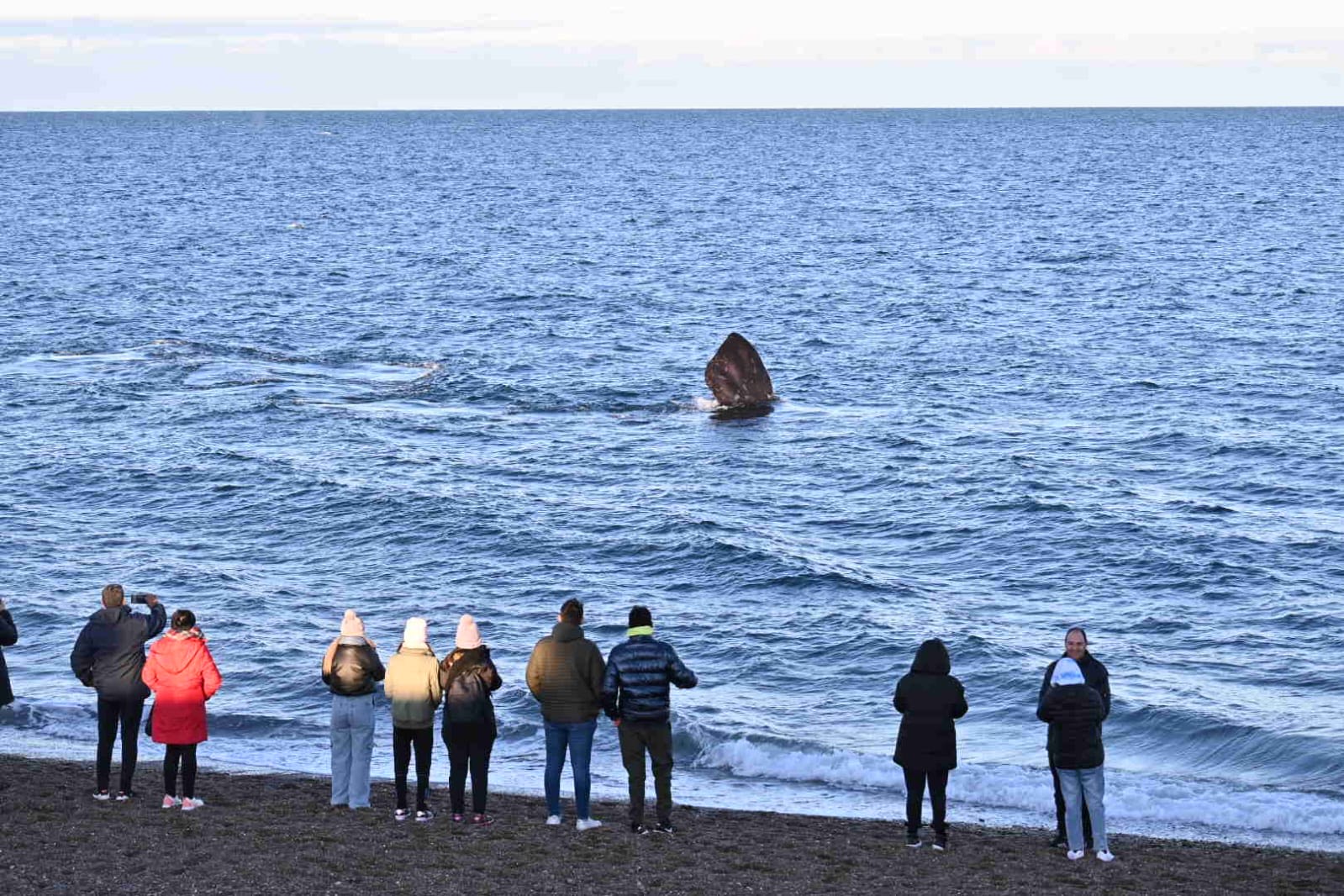 CON UNA GRAN AFLUENCIA DE TURISTAS, PUERTO MADRYN CERRÓ UNAS EXCELENTES VACACIONES DE INVIERNO