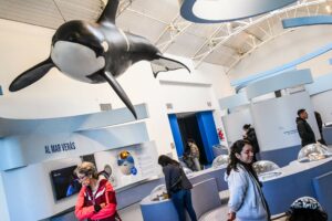 EXTRAORDINARIO FIN DE SEMANA EN PUERTO MADRYN: OCUPACIÓN PLENA Y ARRIBO DE TURISTAS DE TODO EL PAÍS