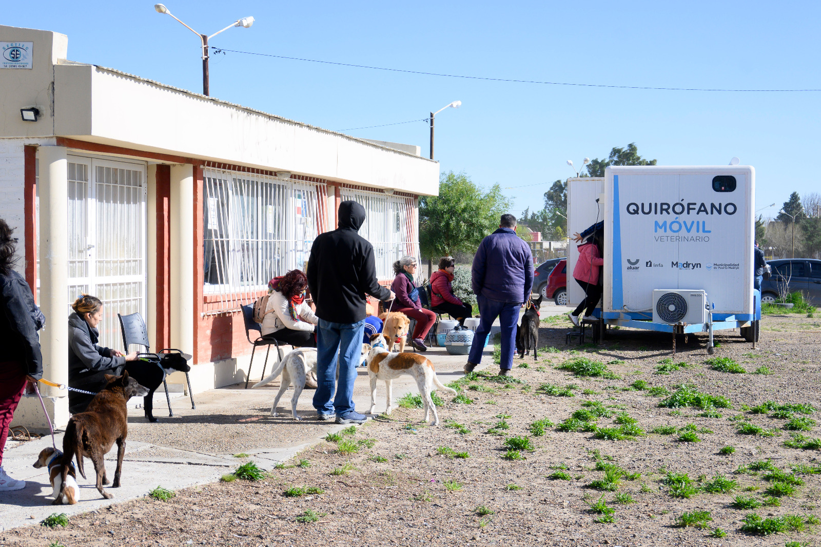 CONTINÚAN LAS CAMPAÑAS GRATUITAS PARA PERROS Y GATOS