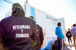 CONTINÚAN LAS CAMPAÑAS GRATUITAS PARA PERROS Y GATOS