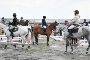 AVANZA LA ORGANIZACIÓN DEL FESTIVAL ACUÁTICO “ANTONIO TORREJÓN” Y DE LA COPA DE CAMPEONES DE EQUITACIÓN