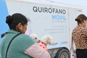 CONTINÚAN LAS CAMPAÑAS GRATUITAS PARA PERROS Y GATOS