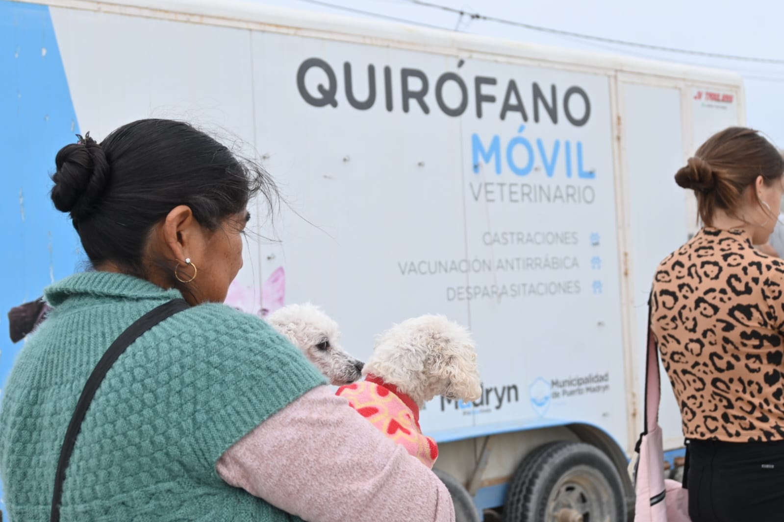 CONTINÚAN LAS CAMPAÑAS GRATUITAS PARA PERROS Y GATOS