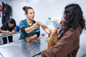 CONTINÚAN LAS CAMPAÑAS GRATUITAS PARA PERROS Y GATOS