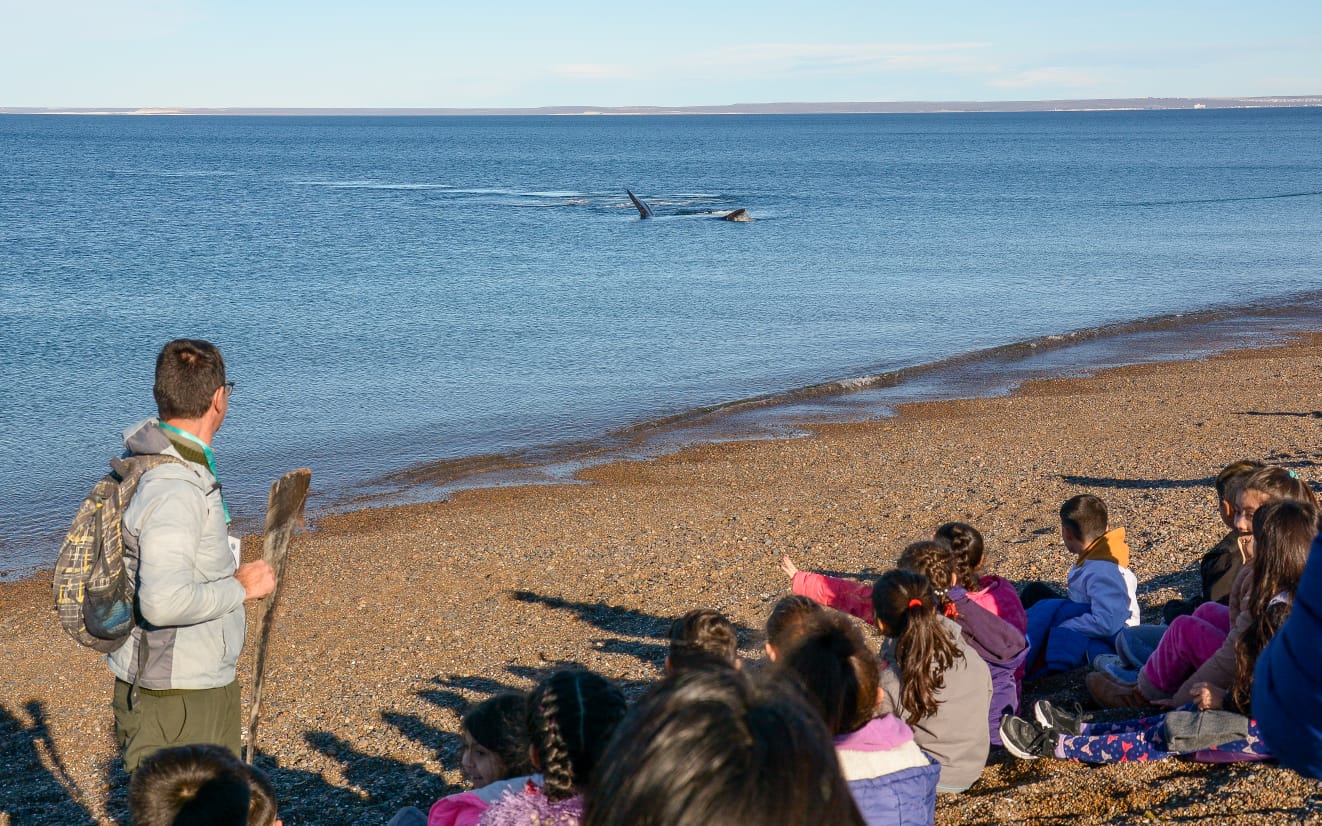EL 3 DE JUNIO COMIENZAN LAS VISITAS AL ANP EL DORADILLO DEL PROGRAMA “LOS CHICOS DE MADRYN RECIBEN A LAS BALLENAS”