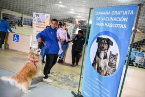 CAMBIO DE LUGAR DE LAS CAMPAÑAS GRATUITAS PARA PERROS Y GATOS