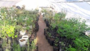 SE VIENE UNA NUEVA EDICIÓN DEL VIVERO ABIERTO