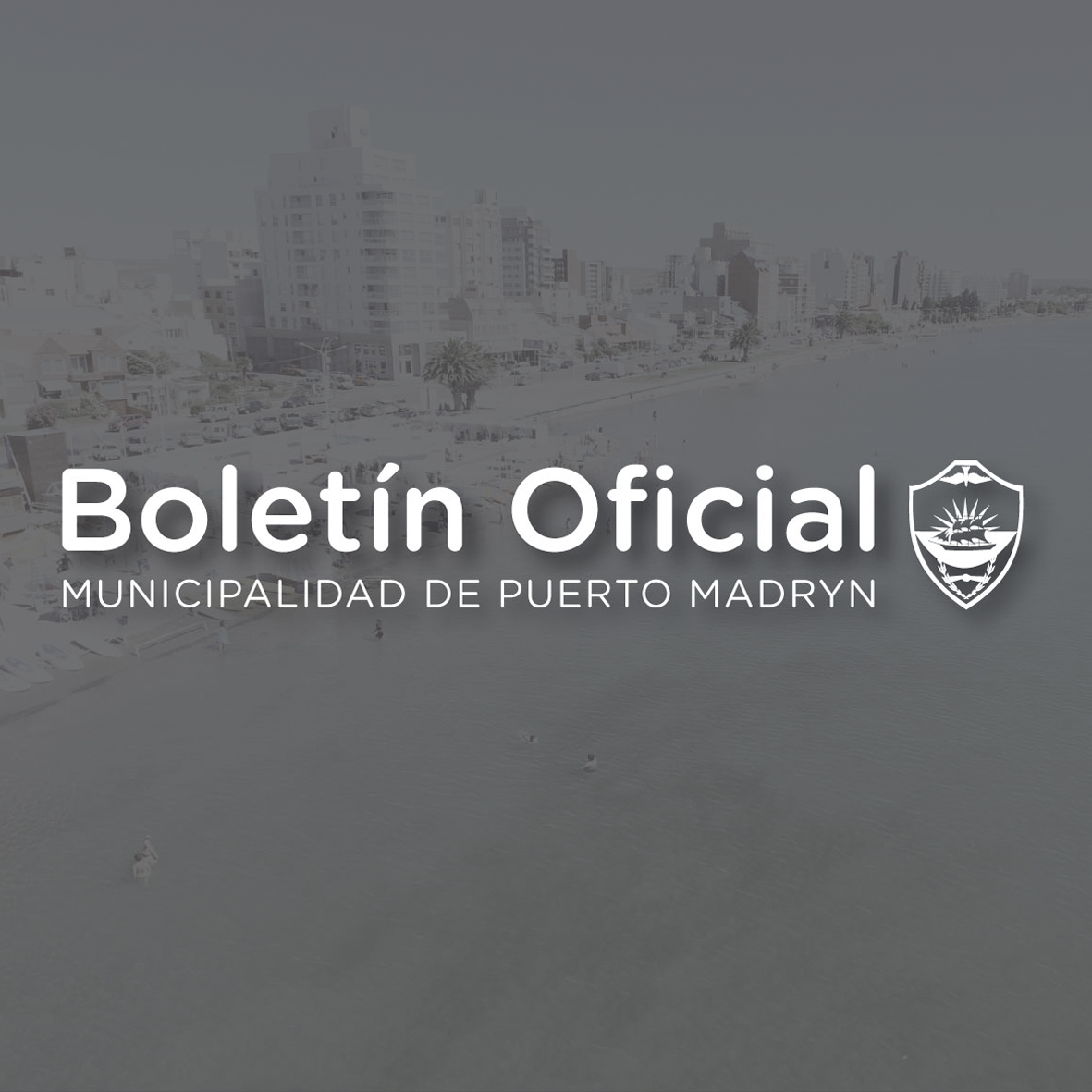 BOLETÍN OFICIAL Nº 869 – DICIEMBRE DE 2024
