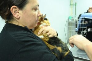 SE REALIZARÁN NUEVAS CAMPAÑAS DE VACUNACIONES Y CASTRACIONES GRATUITAS PARA PERROS Y GATOS