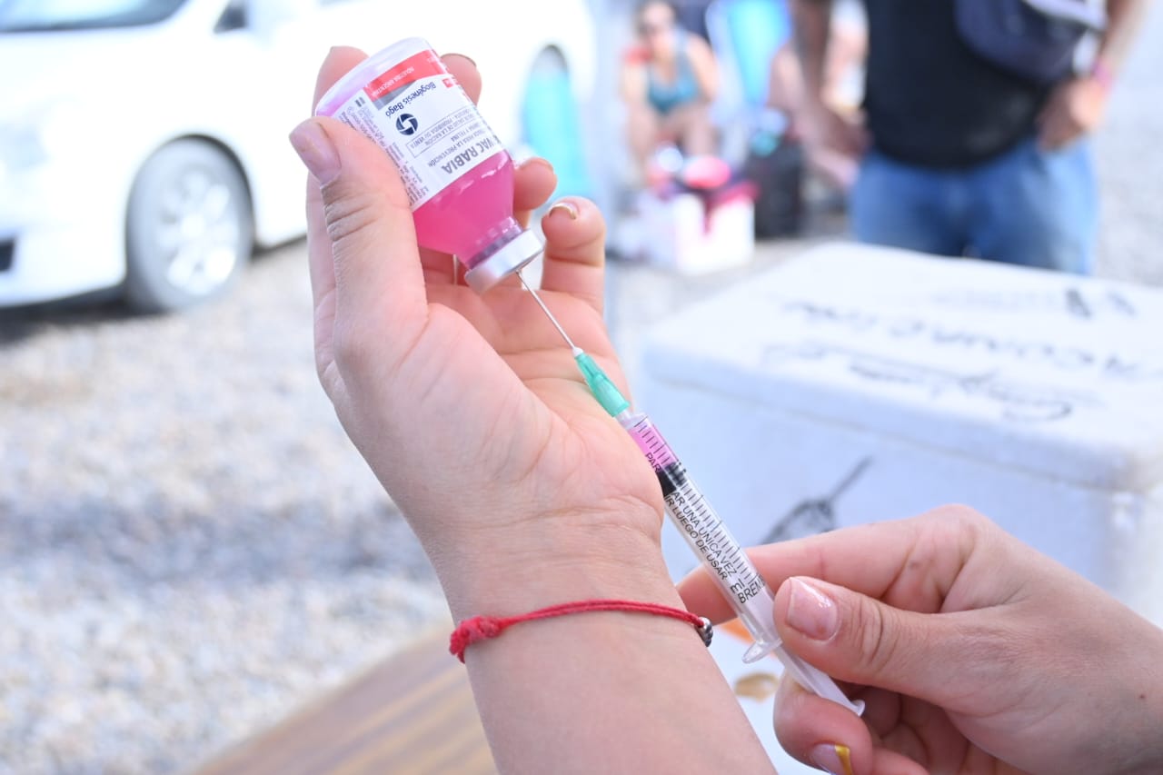 CONTINUAMOS PROMOVIENDO EL CUIDADO RESPONSABLE DE ANIMALES CON CAMPAÑAS GRATUITAS PARA PERROS Y GATOS