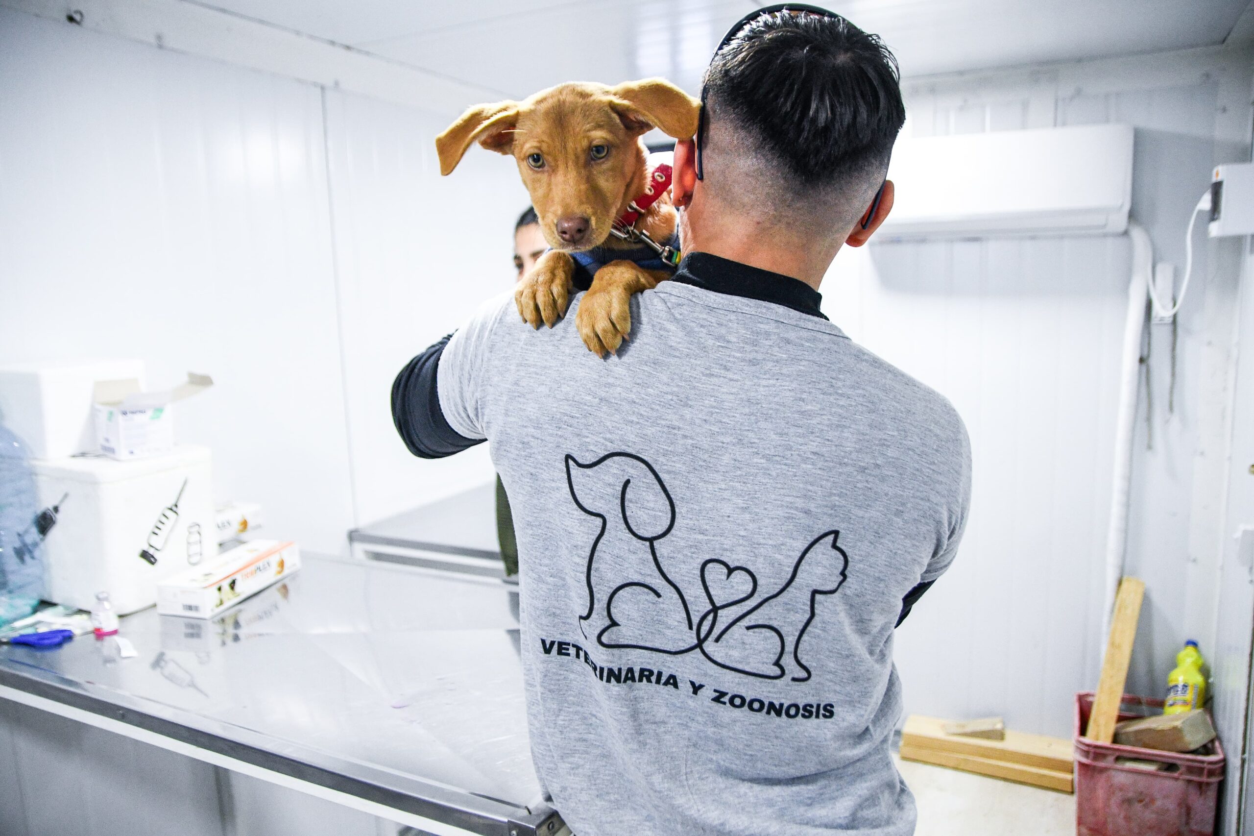 NUEVA JORNADA DE CASTRACIÓN CON APLICACIÓN DE ANTIRRÁBICA PARA PERROS Y GATOS EN EL BARRIO GÜEMES