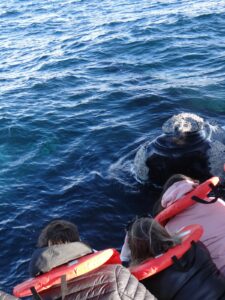 PUERTO MADRYN RECIBIÓ UN NUEVO FAM PRESS PARA PROMOCIONAR LA TEMPORADA DE BALLENAS Y LAS VACACIONES DE INVIERNO