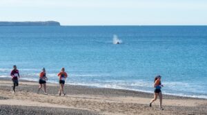 ESTARÁ RESTRINGIDO EL ACCESO A PLAYA LAS CANTERAS DURANTE LA CARRERA AVENTURA FRANCA AUSTRAL
