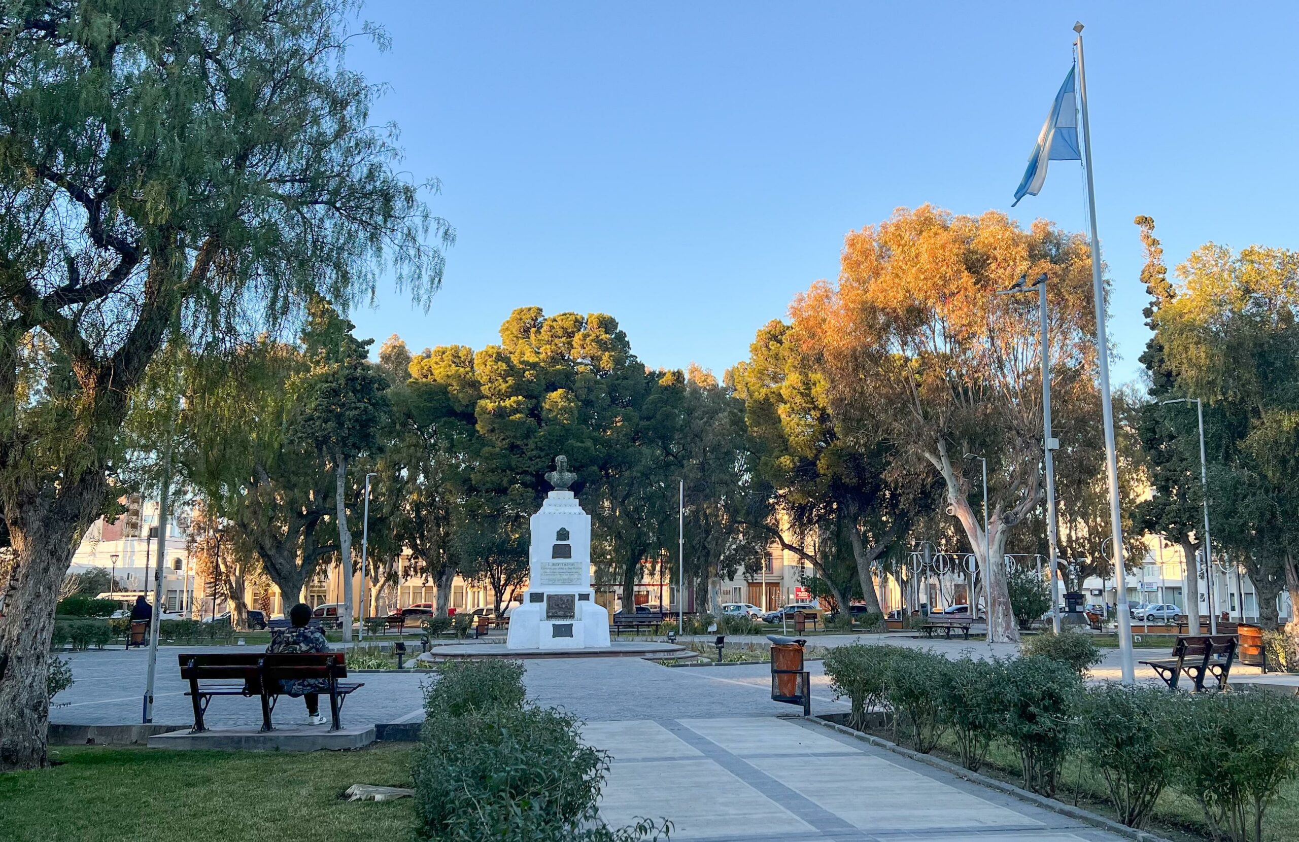 SE REALIZARÁN TAREAS DE PODA EN LA PLAZA SAN MARTÍN