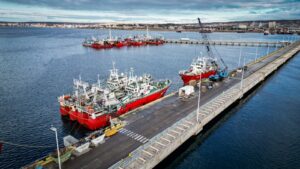 EL MUELLE STORNI SE SUMA A LAS VISITAS GUIADAS