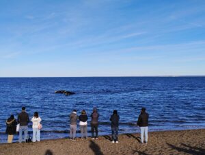 TURISTA EN TU CIUDAD: VECINOS DE MADRYN DISFRUTARON SALIDAS GRATUITAS AL ÁREA NATURAL PROTEGIDA EL DORADILLO