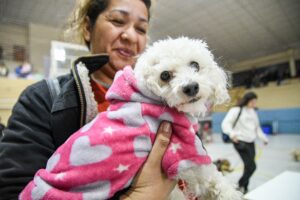 CONTINUAMOS IMPULSANDO EL CUIDADO RESPONSABLE DE ANIMALES CON CAMPAÑAS GRATUITAS