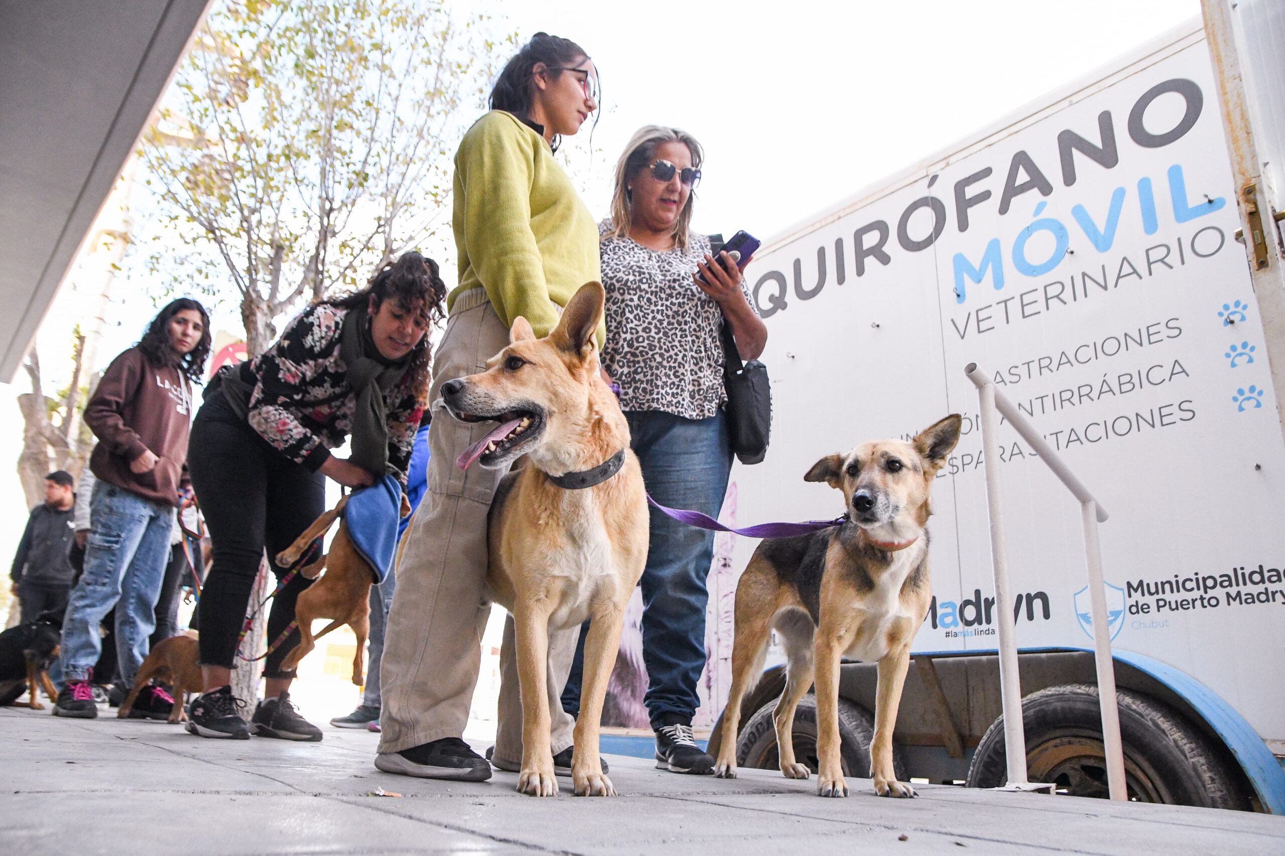 LAS CAMPAÑAS DE CUIDADO RESPONSABLE DE ANIMALES LLEGAN A TU BARRIO
