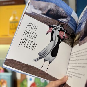 PRESENTAN EL LIBRO “EL PAÍS EN TERO – AVENTURAS EN PUERTO MADRYN” JUNTO ACTIVIDADES RECREATIVAS Y TURÍSTICAS