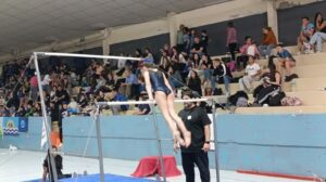 PUERTO MADRYN FUE SEDE DEL TORNEO REGIONAL PATAGONIA SUR DE GIMNASIA ARTÍSTICA