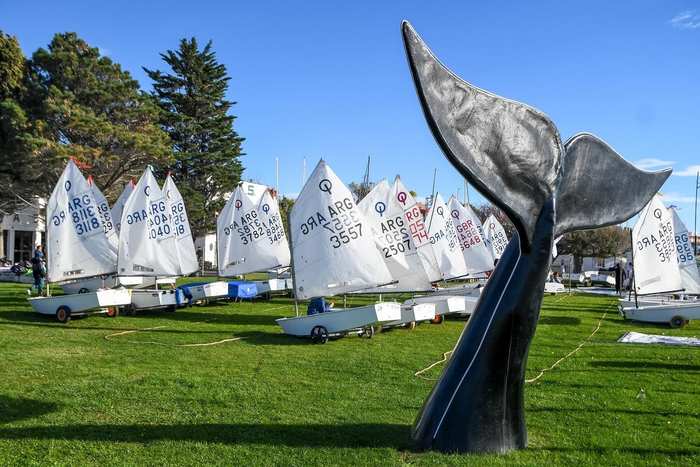 SE VIENE LA XIX EDICIÓN DE LA COPA DE LAS BALLENAS