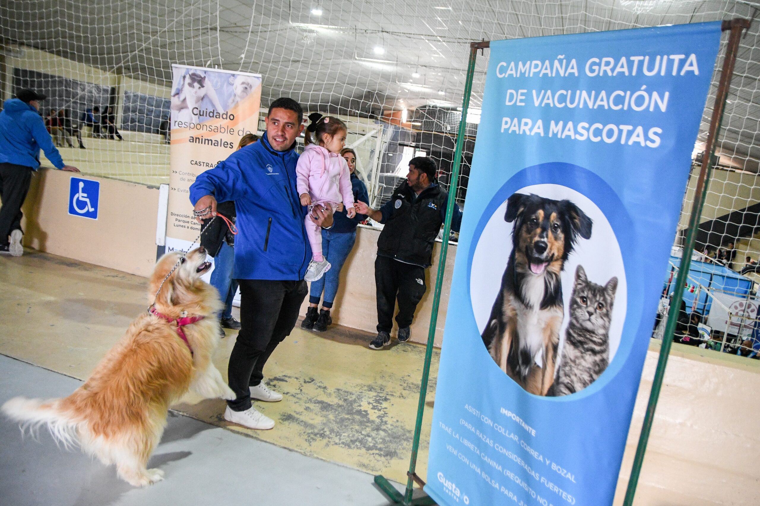 CONTINÚAN LAS CAMPAÑAS GRATUITAS PARA PERROS Y GATOS