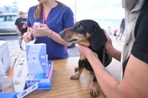 LAS CAMPAÑAS DE CUIDADO RESPONSABLE DE ANIMALES LLEGAN A TU BARRIO