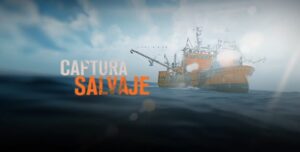 “CAPTURA SALVAJE” SE PROYECTARÁ EN EL ECOCENTRO