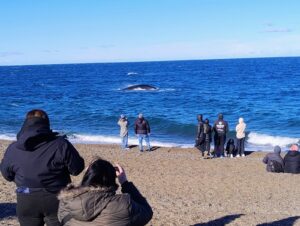 CON CUPO COMPLETO, SE LLEVARON A CABO DOS NUEVAS SALIDAS AL ANP EL DORADILLO