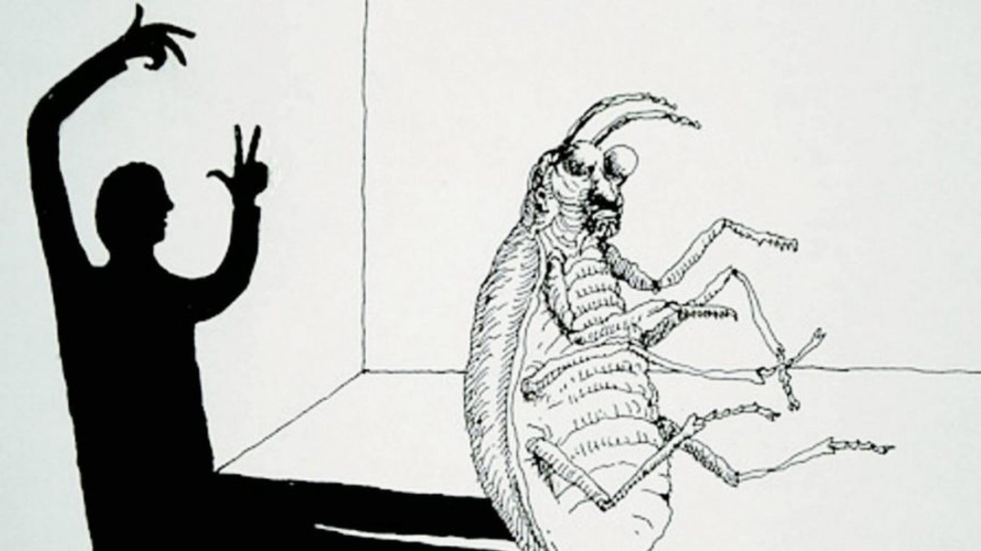 EL TALLER DE CINE & LITERATURA ABORDARÁ “LA METAMORFOSIS” DE KAFKA