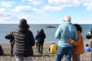 MADRYN CELEBRARÁ EL MES DEL TURISMO CON ACTIVIDADES GRATUITAS PARA LA COMUNIDAD