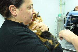 NUEVAS CAMPAÑAS DE VACUNACIÓN Y CASTRACIÓN PARA PERROS Y GATOS